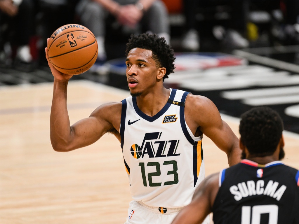 c7网址与传统导航的区别与优势对比